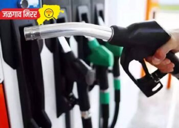 दुचाकी-चारचाकी धारकांना फटका ; पेट्रोल – डीझेल स्वस्त कि महाग !