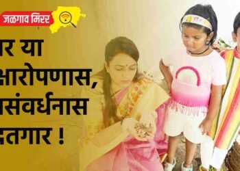 खार या वृक्षारोपणास, वनसंवर्धनास मदतगार !