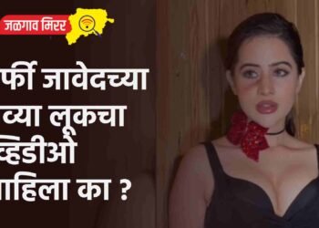 उर्फी जावेदच्या नव्या लूकचा व्हिडीओ पाहिला का ?