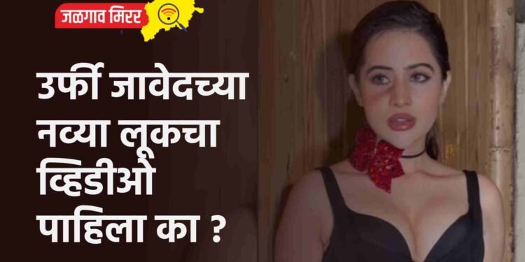 उर्फी जावेदच्या नव्या लूकचा व्हिडीओ पाहिला का ?