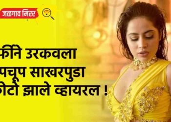 उर्फीने उरकवला गुपचूप साखरपुडा ; फोटो झाले व्हायरल !