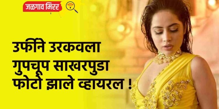 उर्फीने उरकवला गुपचूप साखरपुडा ; फोटो झाले व्हायरल !
