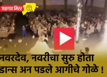 नवरदेव, नवरीचा सुरु होता डान्स अन पडले आगीचे गोळे !