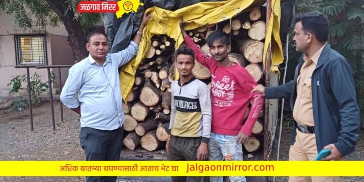 अवैध लाकडांची वाहतूक : एमआयडीसी पोलिसांनी केली कारवाई !