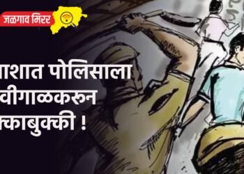 तमाशात पोलिसाला शिवीगाळकरून धक्काबुक्की !