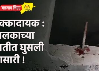 धक्कादायक : बालकाच्या छातीत घुसली आसारी !