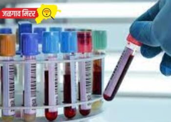 ऑनलाईन पद्धतीने करा अर्ज मिळणार सरकारी नोकरी !