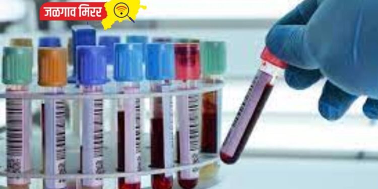 ऑनलाईन पद्धतीने करा अर्ज मिळणार सरकारी नोकरी !