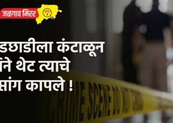 छेडछाडीला कंटाळून तिने थेट त्याचे गुप्तांग कापले !