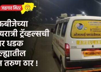 भाऊबीजेच्या मध्यरात्री ट्रॅव्हल्सची जबर धडक : जिल्ह्यातील दोन तरुण ठार !