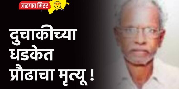 दुचाकीच्या धडकेत प्रौढाचा मृत्यू !