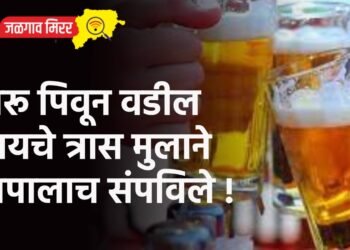 दारू पिवून वडील द्यायचे त्रास मुलाने बापालाच संपविले !