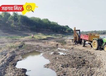 अमळनेरात वाळूमाफियांची दबंगगिरी चक्क तलाठ्याच्या पथकाला केली मारहाण !