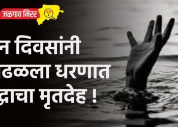 दोन दिवसांनी आढळला धरणात वृद्धाचा मृतदेह !