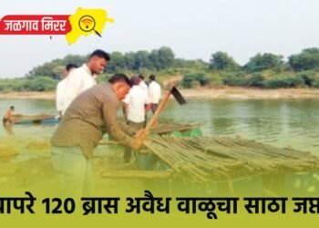 बापरे १२० ब्रास अवैध वाळूचा साठा जप्त !