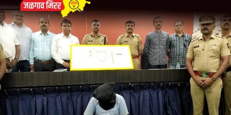 सरपंच पदाच्या निवडणुकीत हरला अन एलसीबीच्या रडारवर आला !