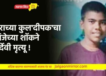 घराच्या कुल’दीपक’चा विजेच्या शॉकने दुर्देवी मृत्यू !