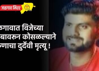 जळगावात विजेच्या खांबावरून कोसळल्याने तरुणाचा दुर्देवी मृत्यू !