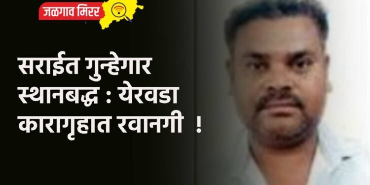 सराईत गुन्हेगार स्थानबद्ध : येरवडा कारागृहात रवानगी !