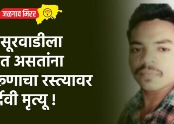 सासूरवाडीला जात असतांना तरूणाचा रस्त्यावर दुर्देवी मृत्यू !
