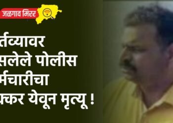 सासूरवाडीला जात असतांना तरूणाचा रस्त्यावर दुर्देवी मृत्यू !