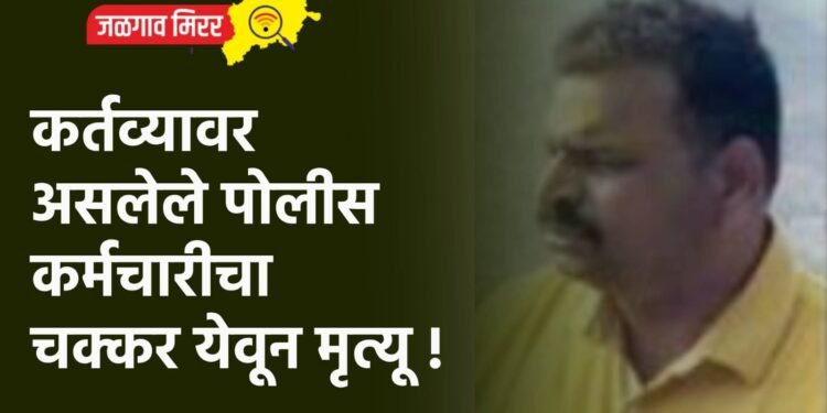 सासूरवाडीला जात असतांना तरूणाचा रस्त्यावर दुर्देवी मृत्यू !