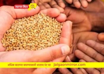 गरिबांसाठी आनंदाची बातमी : आणखी ५ वर्षे मिळणार मोफत रेशन !