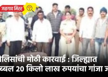 पोलिसांची मोठी कारवाई : जिल्ह्यात तब्बल २० किलो लाख रुपयांचा गांजा जप्त !