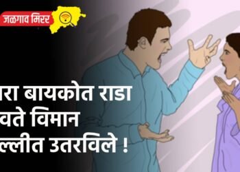 नवरा बायकोत राडा : धावते विमान दिल्लीत उतरविले !