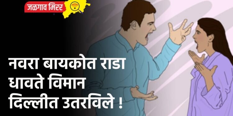 नवरा बायकोत राडा : धावते विमान दिल्लीत उतरविले !