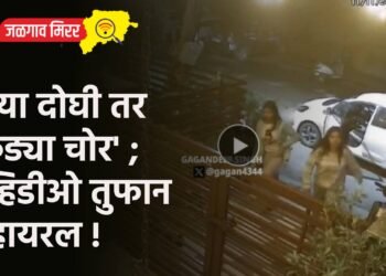 ‘त्या दोघी तर कुंड्या चोर’ ; व्हिडीओ तुफान व्हायरल !