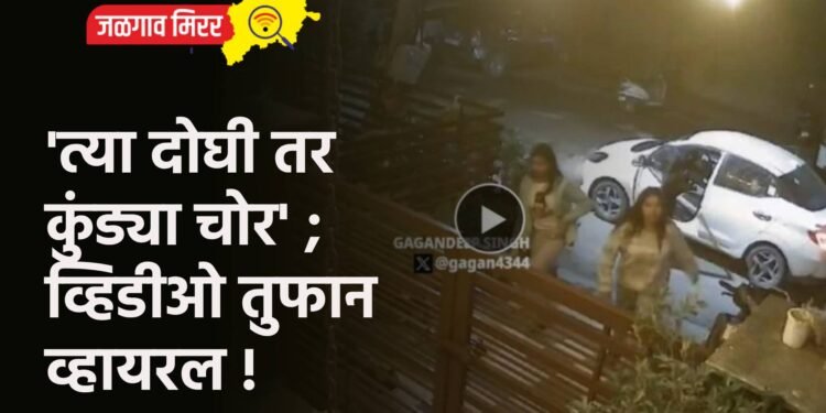 ‘त्या दोघी तर कुंड्या चोर’ ; व्हिडीओ तुफान व्हायरल !