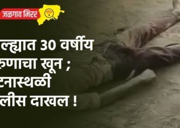 जिल्ह्यात ३० वर्षीय तरुणाचा खून ; घटनास्थळी पोलीस दाखल !