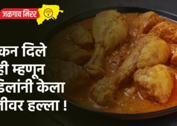 चिकन दिले नाही म्हणून वडिलांनी केला मुलीवर हल्ला !