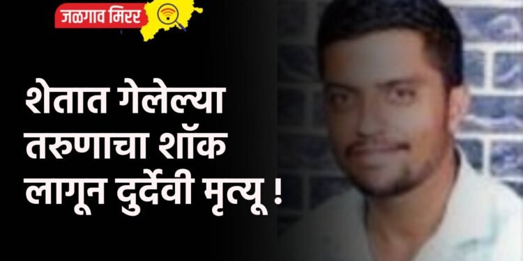 शेतात गेलेल्या तरुणाचा शॉक लागून दुर्देवी मृत्यू !