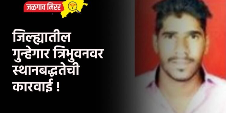 जिल्ह्यातील गुन्हेगार त्रिभुवनवर स्थानबद्धतेची कारवाई !