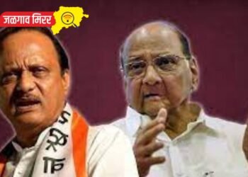 तर पूर्ण पक्ष भाजपबरोबर गेला असता ; अजित पवारांचा गौप्यस्फोट