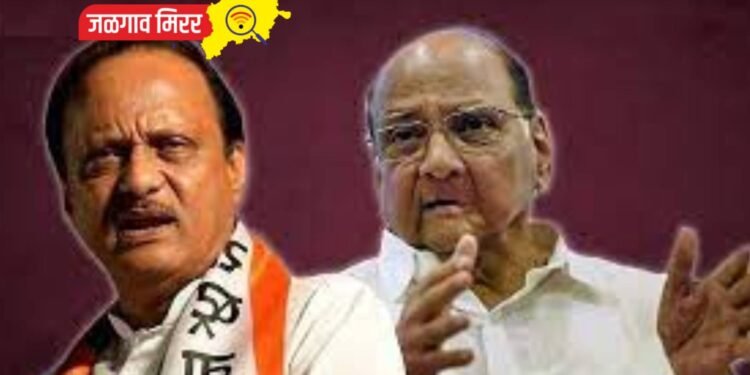 तर पूर्ण पक्ष भाजपबरोबर गेला असता ; अजित पवारांचा गौप्यस्फोट