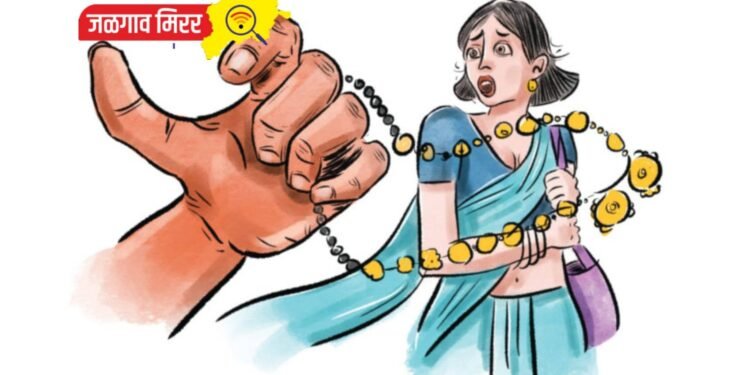 श्री शिवमहापुराण कथेच्या पहिल्याच दिवशी महिला चोरट्यांचा धुमाकूळ !