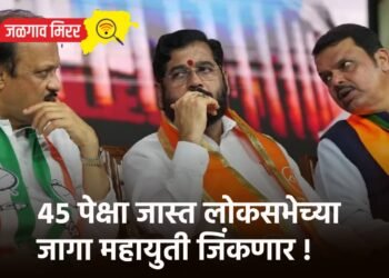४५ पेक्षा जास्त लोकसभेच्या जागा महायुती जिंकणार !
