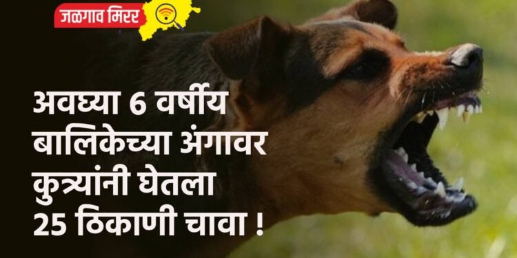 अवघ्या ६ वर्षीय बालिकेच्या अंगावर कुत्र्यांनी घेतला २५ ठिकाणी चावा !
