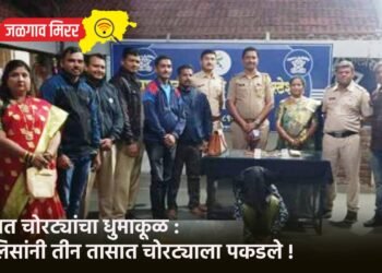 लग्नात चोरट्यांचा धुमाकूळ : पोलिसांनी तीन तासात चोरट्याला पकडले !