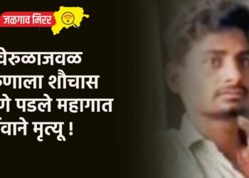 रेल्वेरुळाजवळ तरुणाला शौचास जाणे पडले महागात : दुर्देवाने मृत्यू !