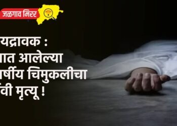 हृदयद्रावक : लग्नात आलेल्या ७ वर्षीय चिमुकलीचा दुर्देवी मृत्यू !