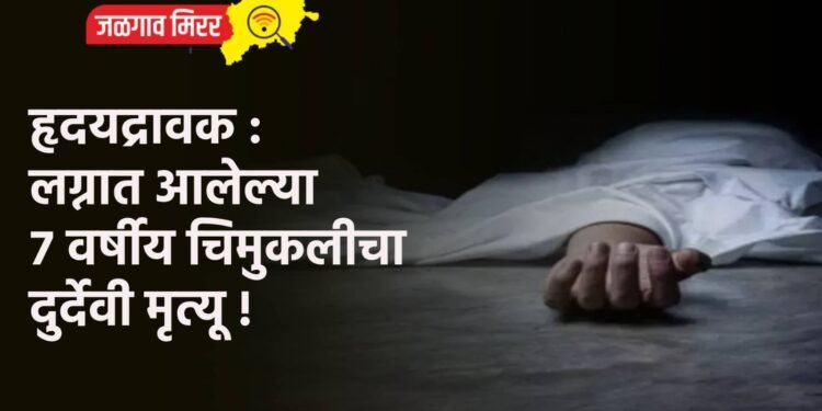 हृदयद्रावक : लग्नात आलेल्या ७ वर्षीय चिमुकलीचा दुर्देवी मृत्यू !