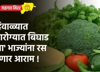 हिवाळ्यात आरोग्यात बिघाड ; ‘या’ भाज्यांना रस देणार आराम !