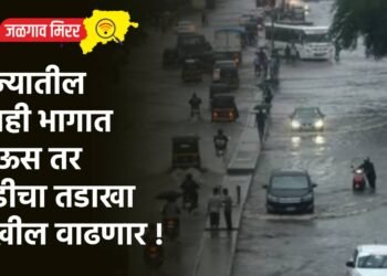 राज्यातील काही भागात पाऊस तर थंडीचा तडाखा देखील वाढणार !