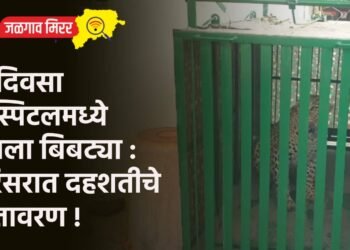 भरदिवसा हॉस्पिटलमध्ये घुसला बिबट्या : परिसरात दहशतीचे वातावरण !