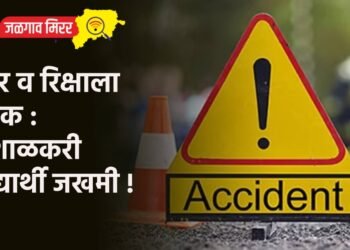 डंपर व रिक्षाला धडक : ५ शाळकरी विद्यार्थी जखमी !