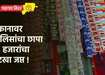 दुकानावर पोलिसांचा छापा : १५ हजारांचा गुटखा जप्त !